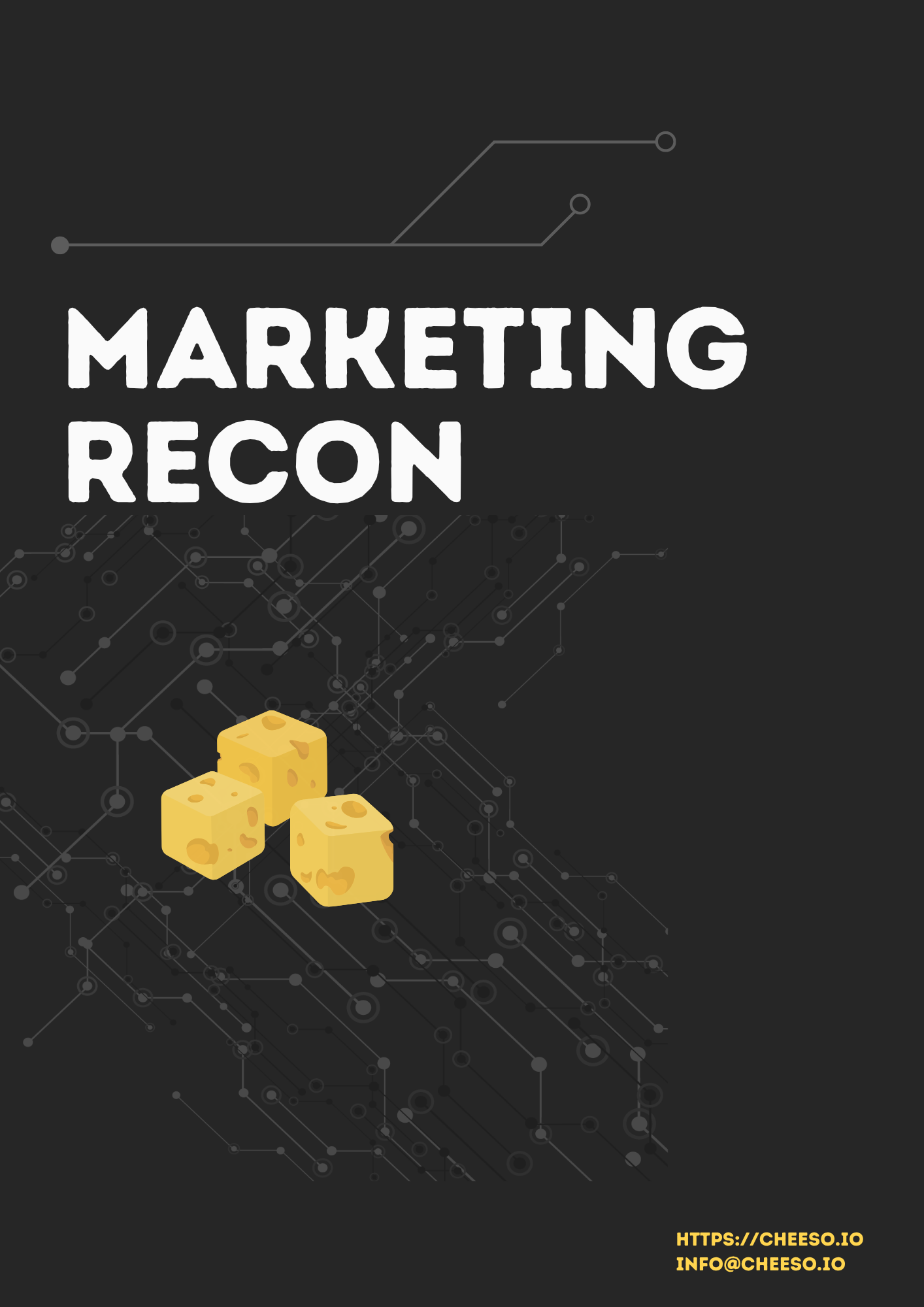 Marketing recon sample page 1